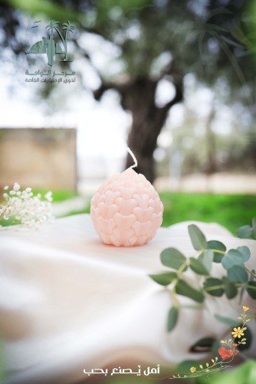 ختم صور الواحة16